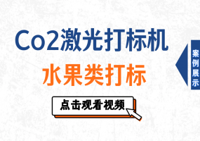 二氧化碳打标机苹果打标